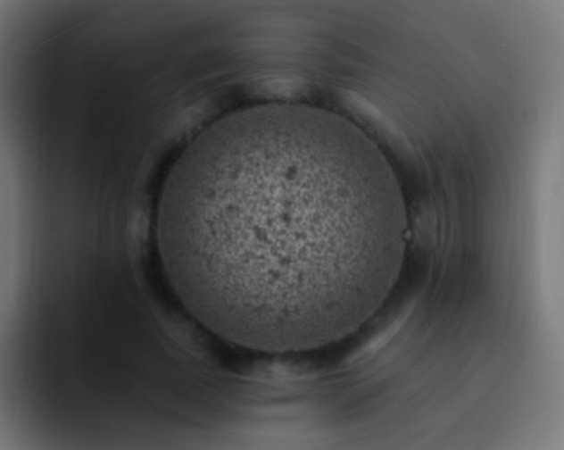 X0000093170739200710031503
