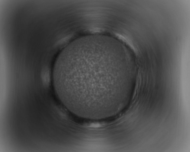 X0000093170740200710031503
