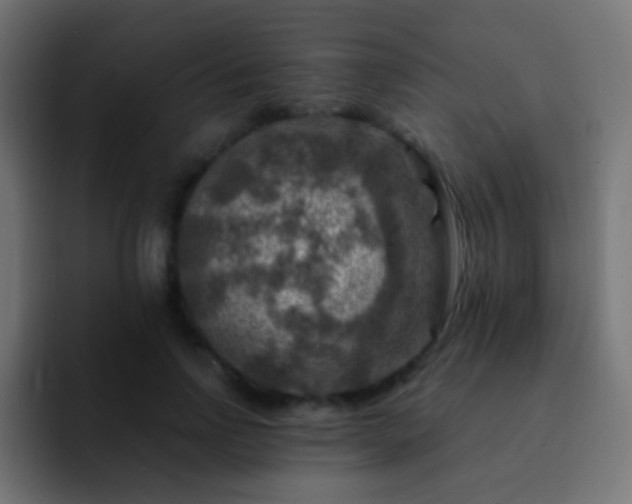 X0000093170742200710031503