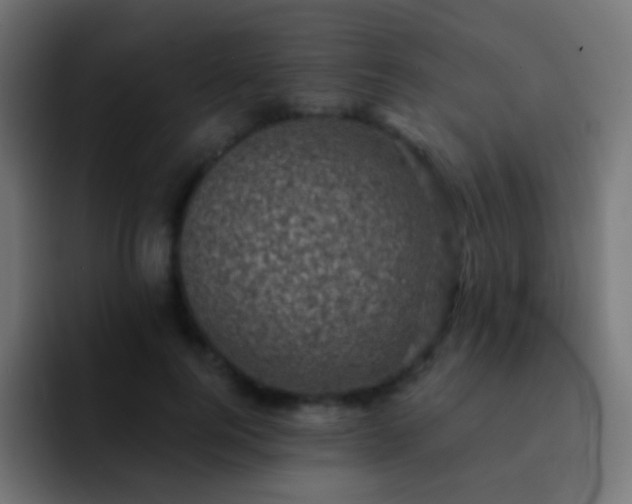X0000093170744200710031503