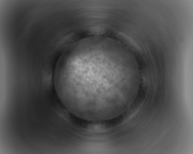 X0000093170745200710031503