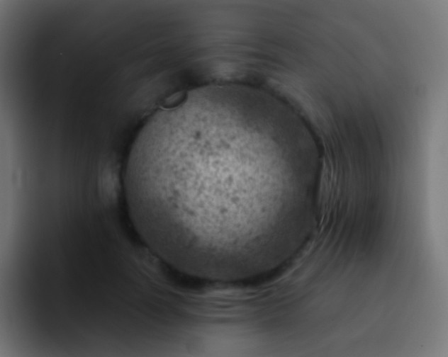 X0000093170746200710031503