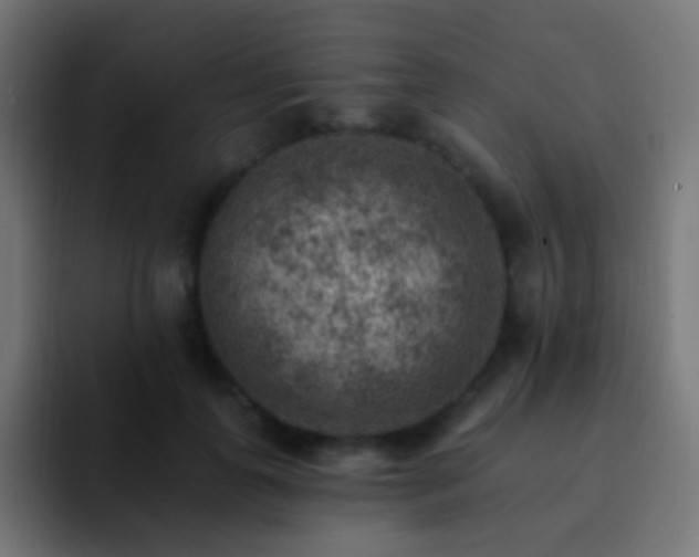 X0000093170747200710031503