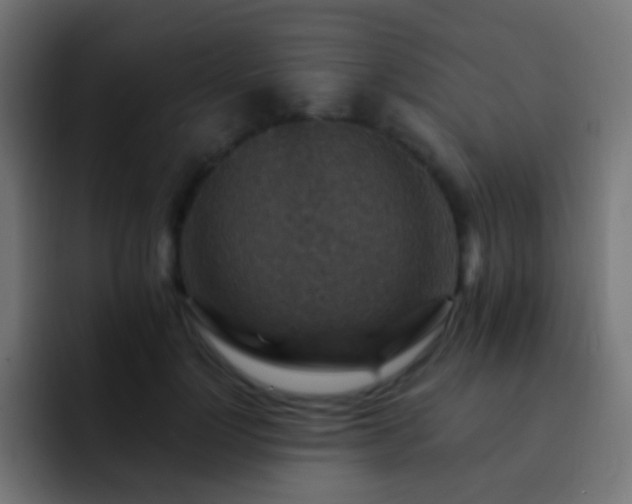 X0000093170748200710031503