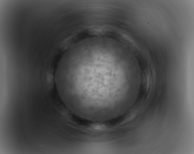 X0000093170749200710031503