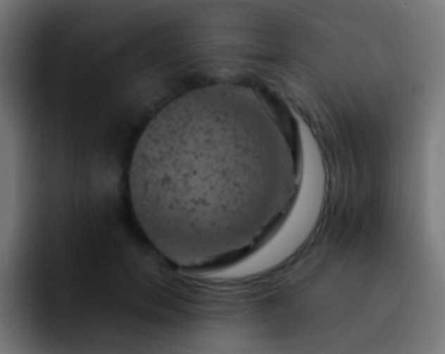 X0000093170750200710031503
