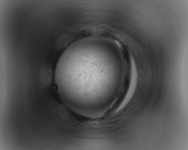 X0000093170752200710031503
