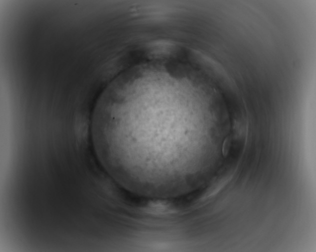 X0000093170753200710031503