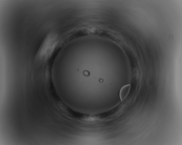 X0000093170754200710031503