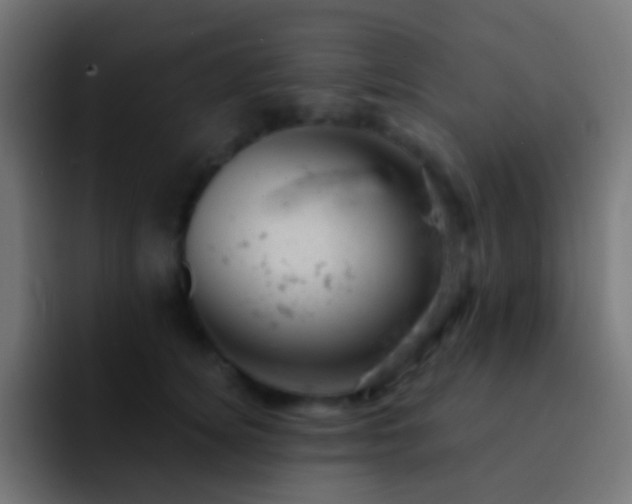 X0000093170756200710031503