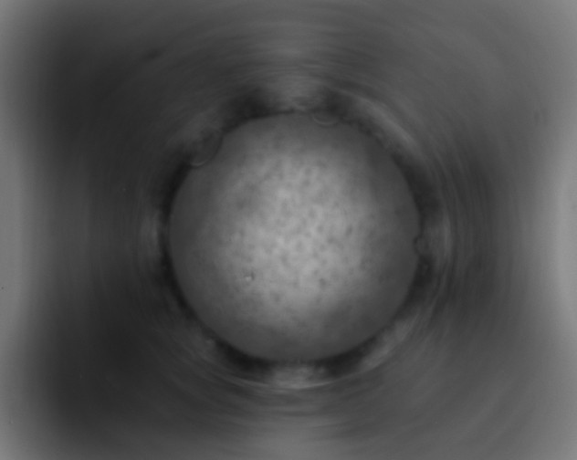 X0000093170757200710031503