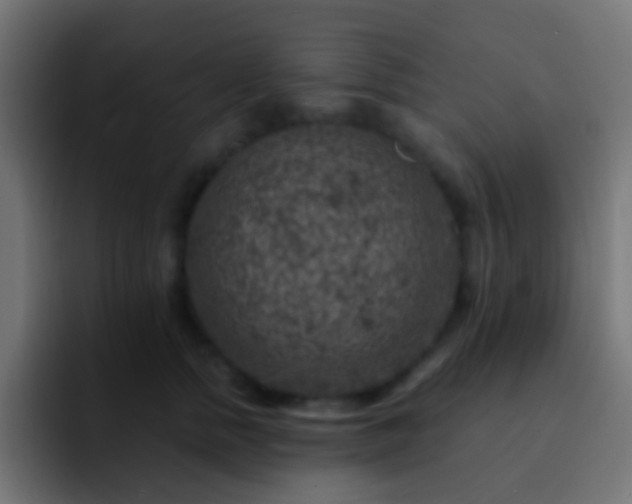 X0000093170758200710031503