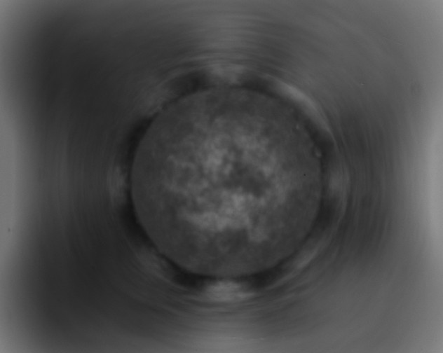 X0000093170759200710031503