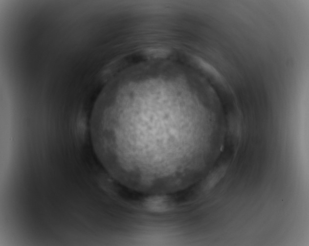 X0000093170761200710031504