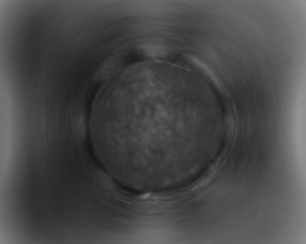X0000093170762200710031504