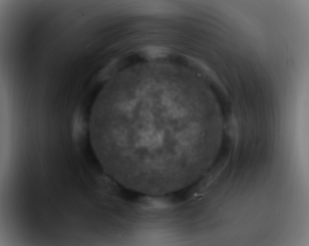 X0000093170763200710031504