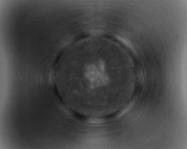 X0000093170766200710031504