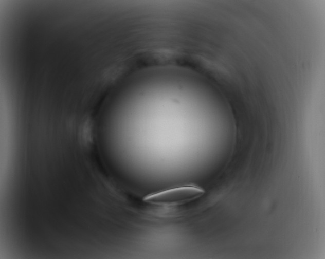 X0000093170768200710031504