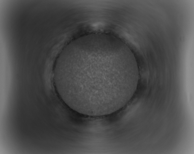 X0000093170769200710031503