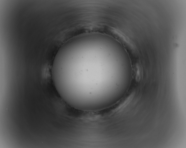 X0000093170770200710031503