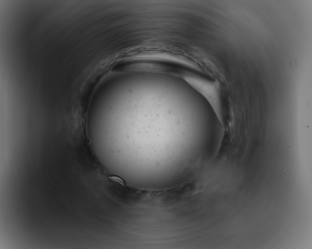 X0000093170773200710031503