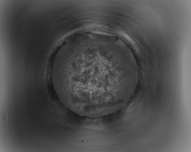 X0000093170775200710031503