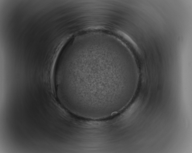 X0000093170777200710031503