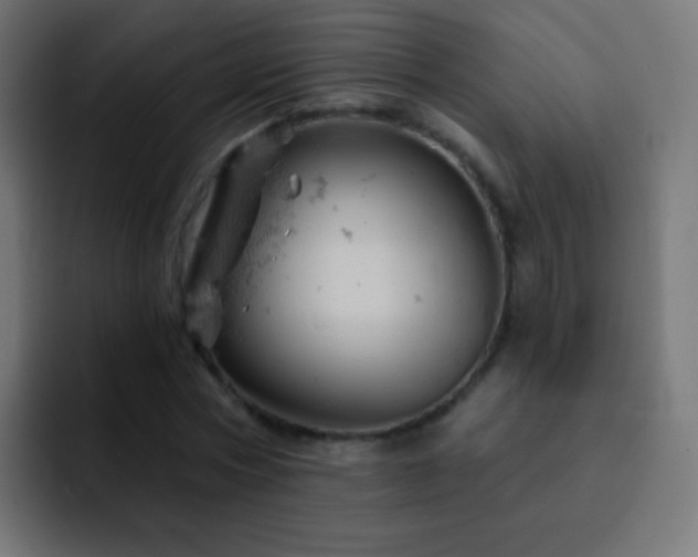 X0000093170778200710031503