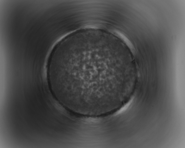 X0000093170779200710031503