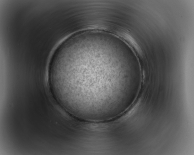 X0000093170780200710031503