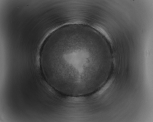 X0000093170781200710031503