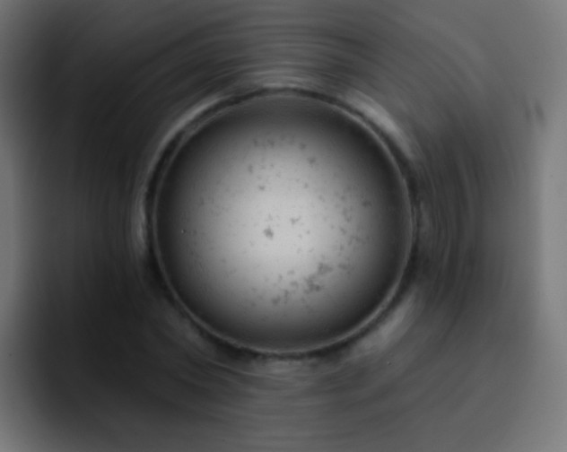 X0000093170782200710031503