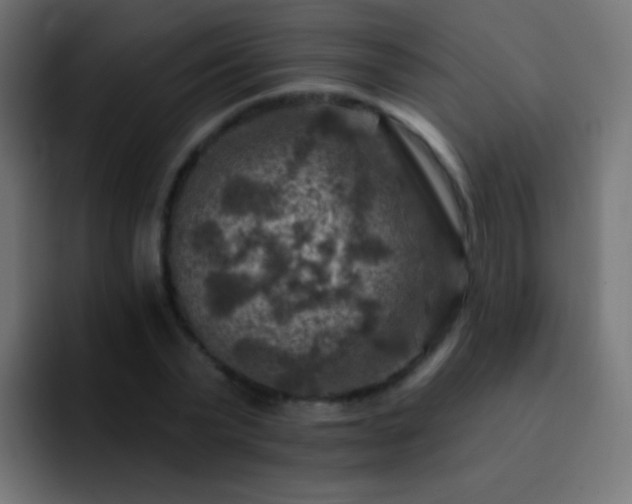 X0000093170783200710031503