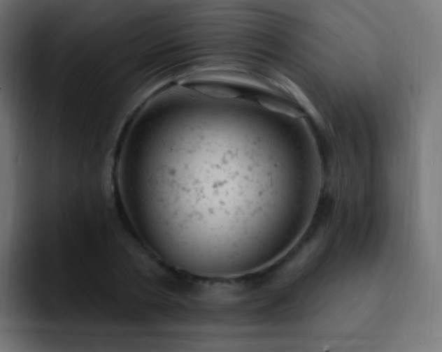 X0000093170786200710031503