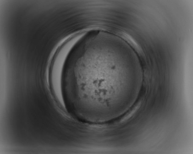 X0000093170788200710031503