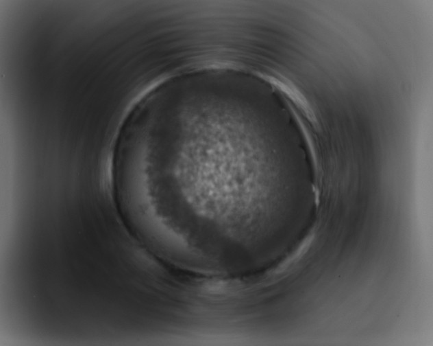 X0000093170790200710031503