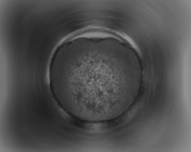 X0000093170791200710031503