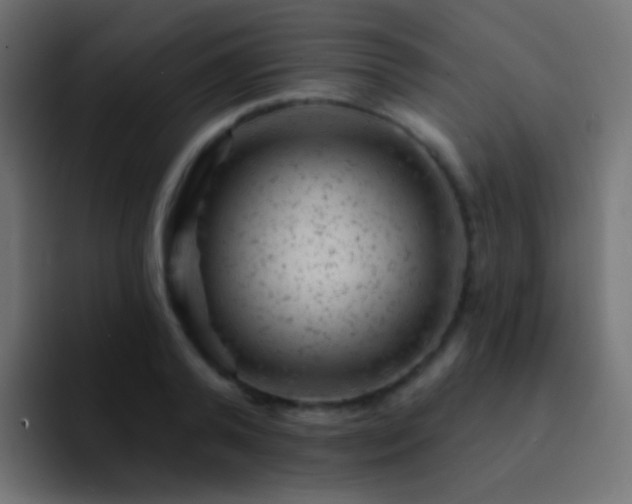 X0000093170792200710031503