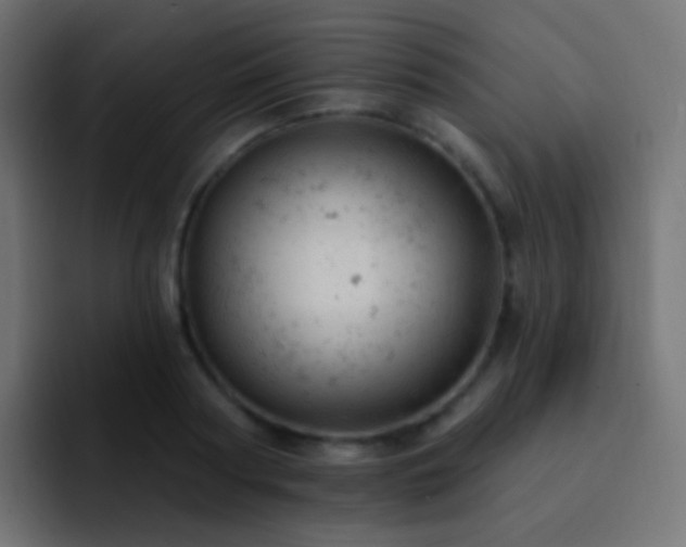 X0000093170794200710031503