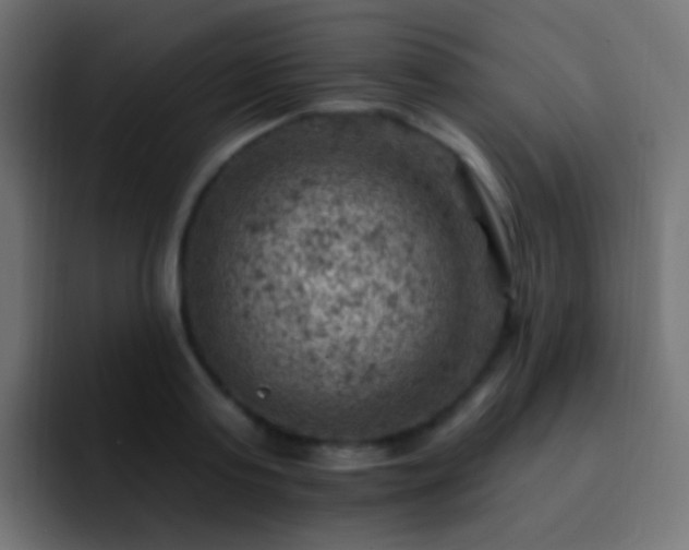 X0000093170795200710031503