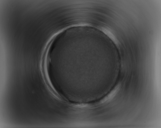 X0000093170797200710031503