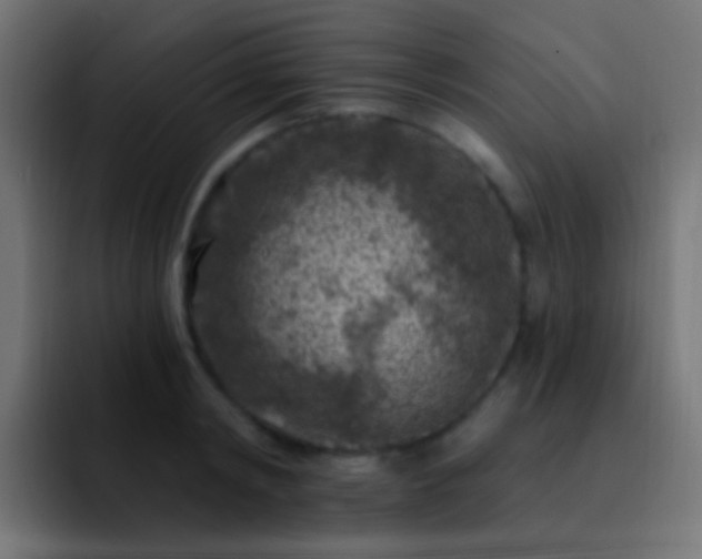 X0000093170798200710031503