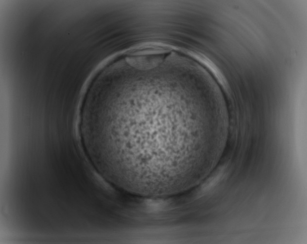 X0000093170799200710031503