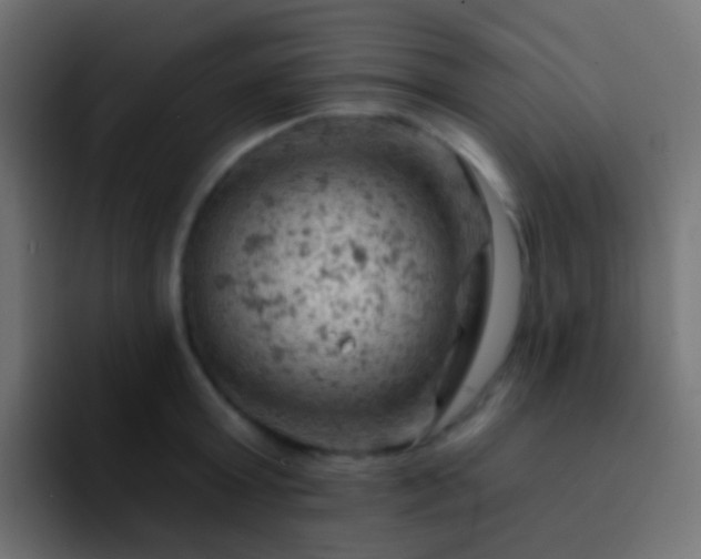 X0000093170803200710031503