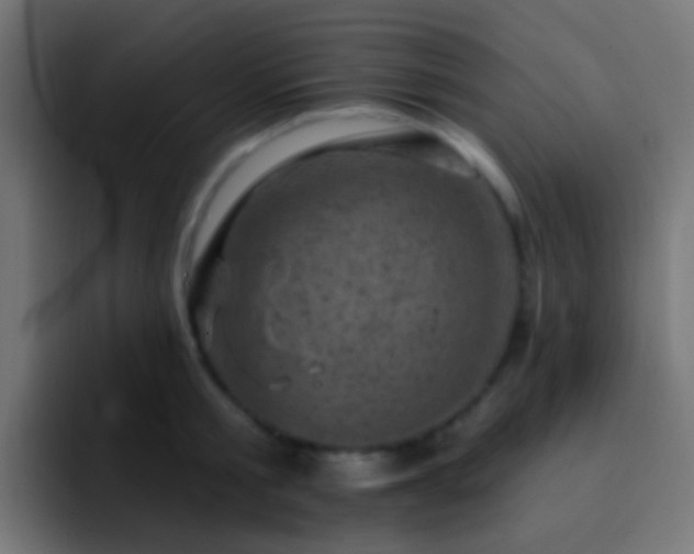 X0000093170805200710031503