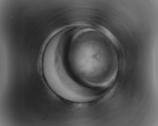 X0000093170808200710031503