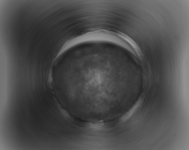 X0000093170809200710031503