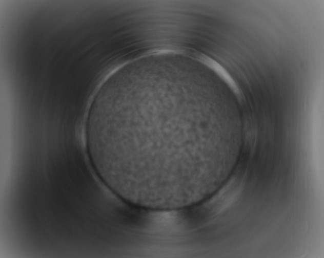 X0000093170810200710031503
