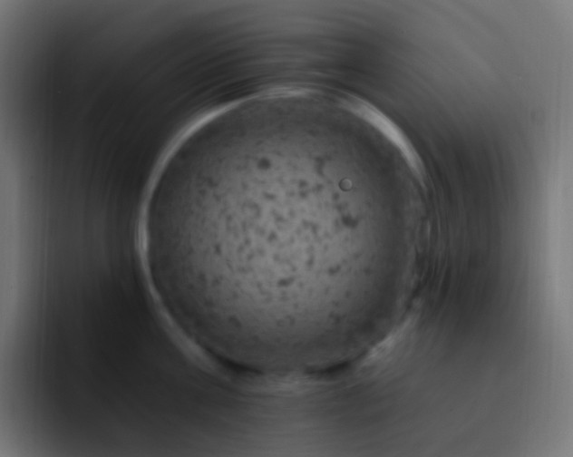 X0000093170811200710031503