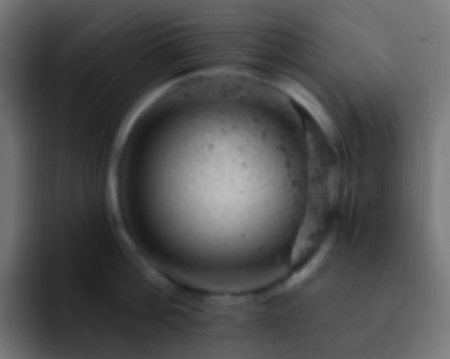 X0000093170812200710031503